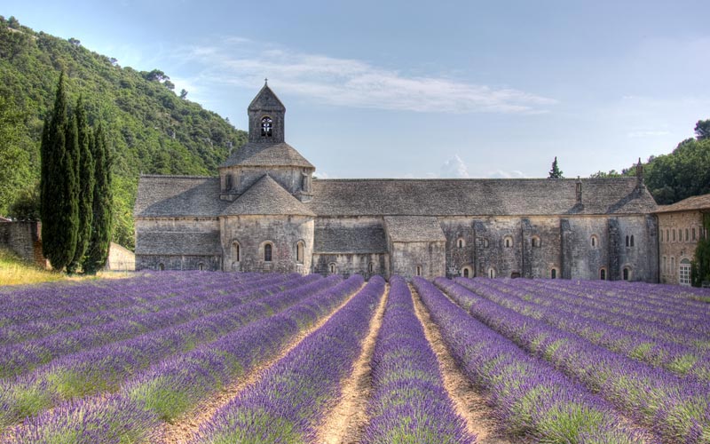 SEJOUR GASTRONOMIQUE EN PROVENCE